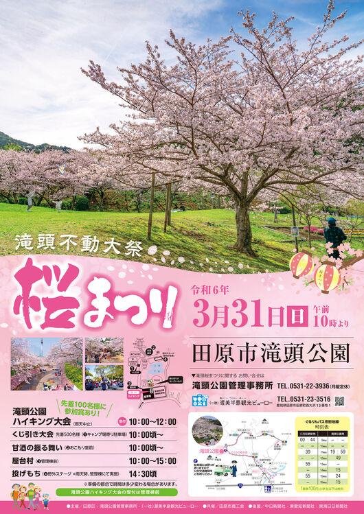 滝頭公園桜祭り